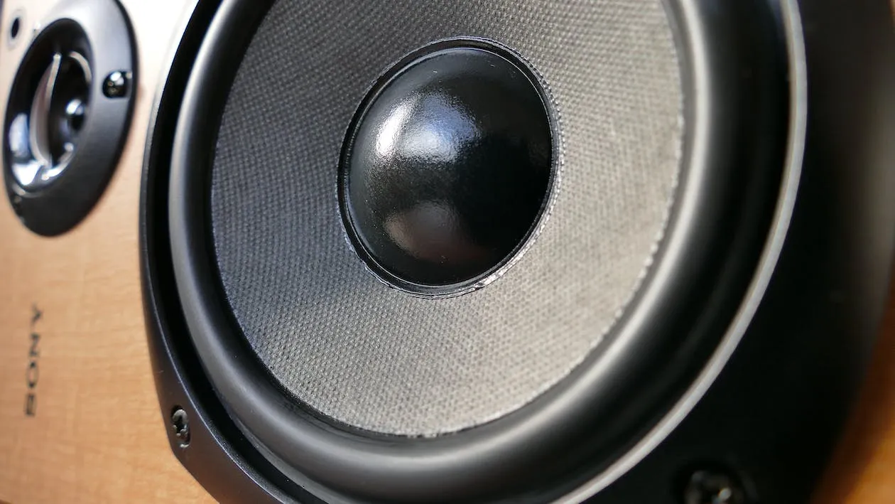 Computer Speaker